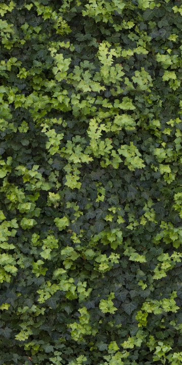 Casalgrande Padana Limpha Helix połaczenie mat-poler 120x240 cm gr. 6 mm